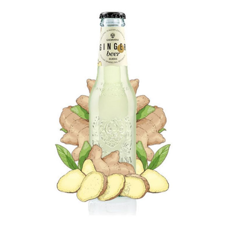 Immagine di GALVANINA GINGER BEER 20CL. - Confezione da 24 Bottiglie