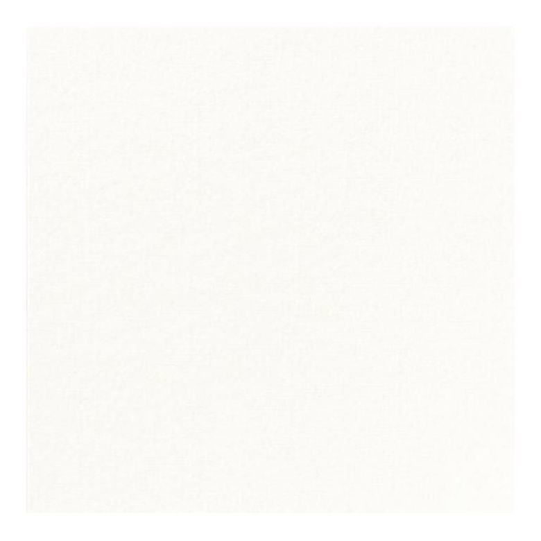 Immagine di COPRIMACCHIA BIANC DUNISOFT 50pz 100x100 - COPRIMACCHIA DUNI 165055 BIANCO