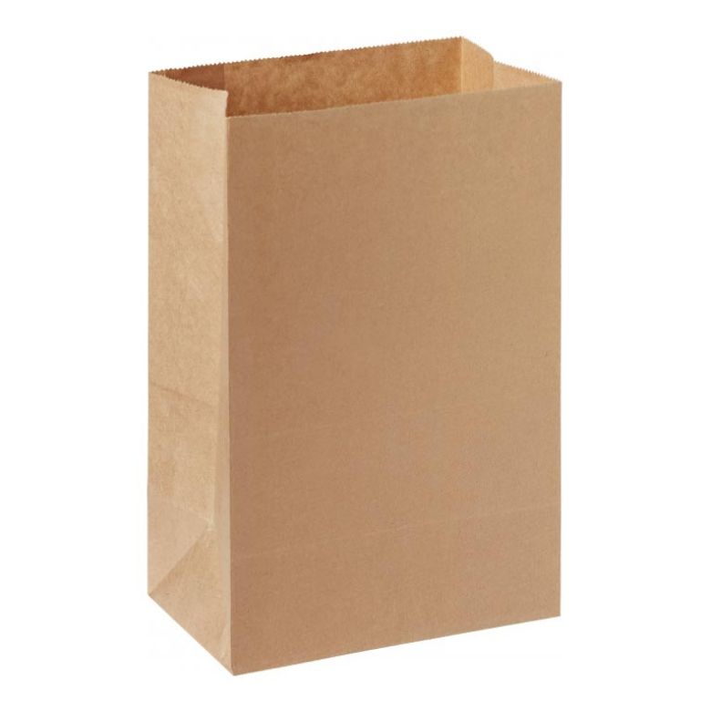 Immagine di SACCHETTO ASPORTO SENZA MANICI MARRONEMS - COD.194783 DUNI 500pz  180X110X265