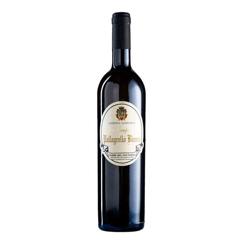 Immagine di VINO PALLAGRELLO BIANCO 2023 IGT -75CL - VESTINI CAMPAGNANO TERRE DEL VOLTURNO