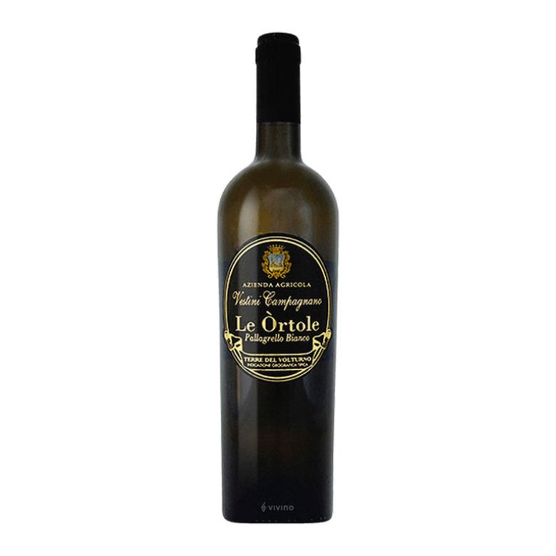 Immagine di VINO LE ÒRTOLE PALLAGRELLO BIANCO 2015 - VESTINI CAMPAGNANO  IGT-75CL