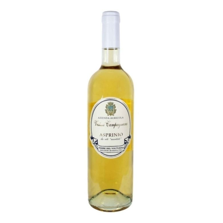 Immagine di VINO VESTINI CAMPAGNANO ASPRINIO 75CL 21 - DA VITI MARITATE