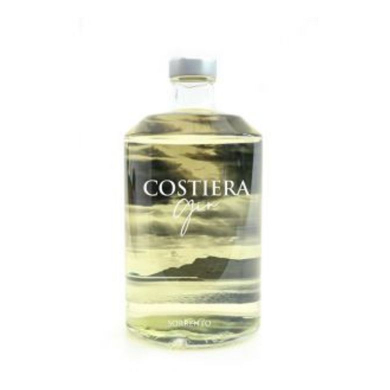 Immagine di GIN COSTIERA PIEMME-70CL