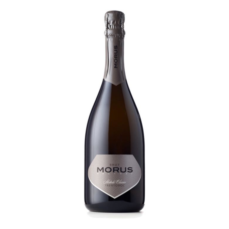 Immagine di SPUMANTE MORUS BRUT MILLESSIMATO - TRENTO DOC 75CL